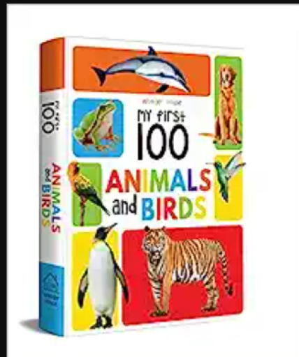 Animals & Birds Book