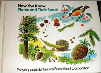 Know About Plants Book