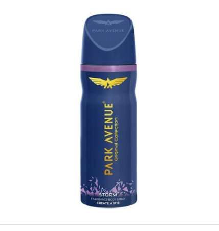 Park Avenue Deodorant Classic Storm