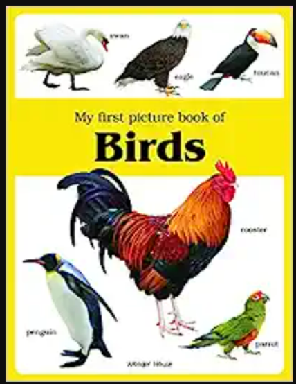 My First Picture Book Of Birds