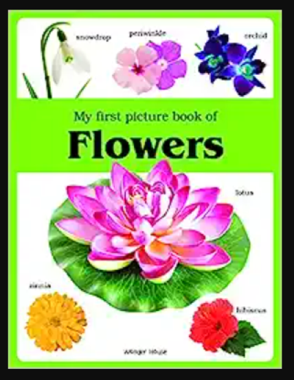 My First Picture Book Of Flowers