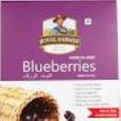 Jewel Farmer Dry Fruits Blueberries