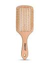 Ankita Hair Brush A-26 Shell 